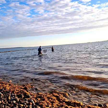 App 7o Kleinertag Am Dranske